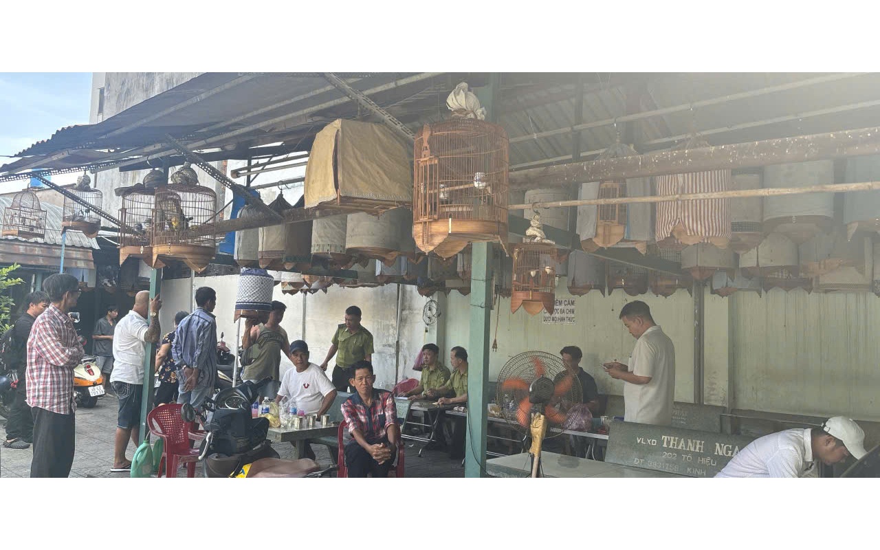 Nỗi lòng người nuôi chim cảnh