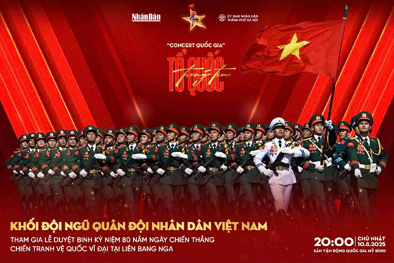 Bầu chọn giải Mai Vàng lần thứ 31 - 2025 Hạng mục chương trình chính luận: - Ảnh 2.