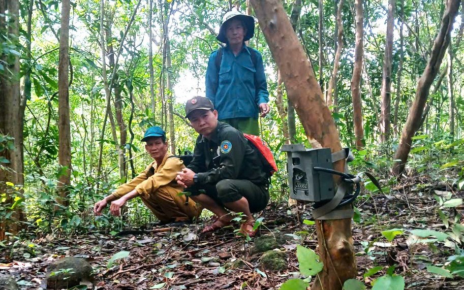 Bẫy ảnh giám sát đa dạng sinh học tại Mỹ Sơn