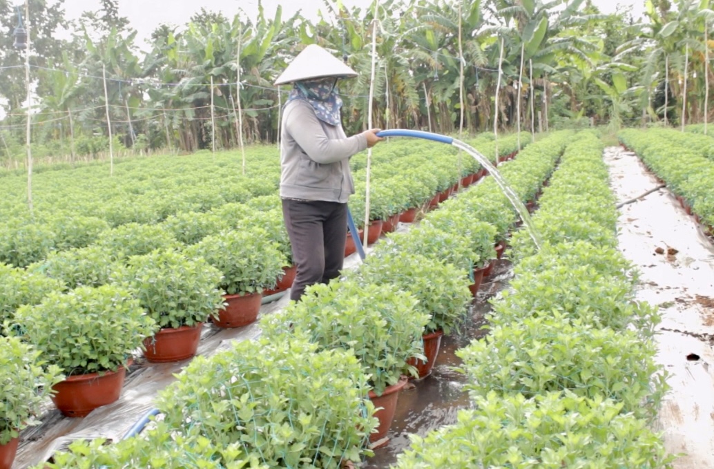 Ngăn "tái nghèo" để giảm nghèo bền vững - Ảnh 3.