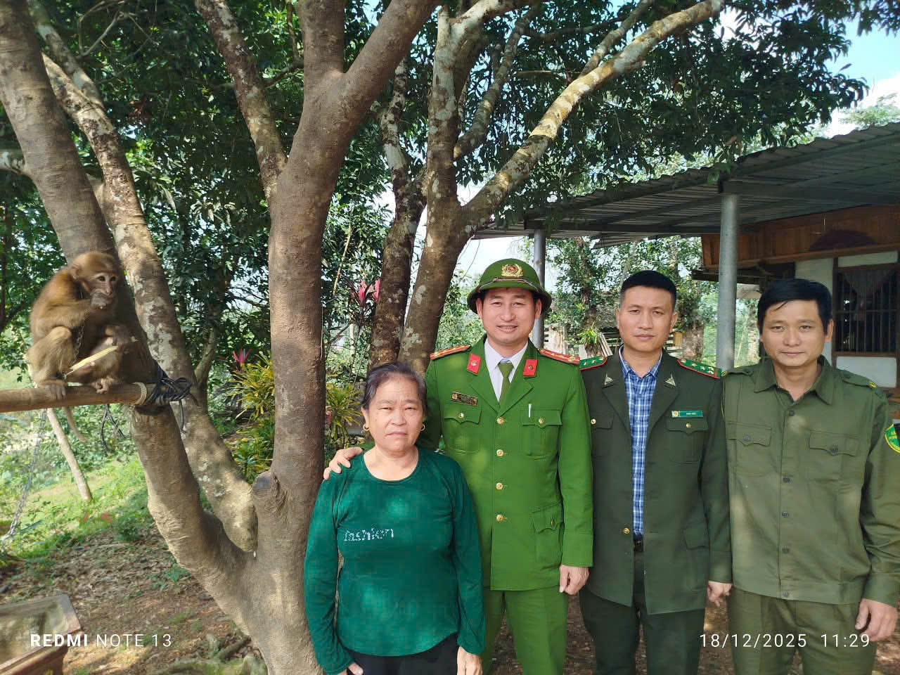 Người dân bàn giao cá thể khỉ đuôi lợn quý hiếm đi lạc vào vườn nhà - Ảnh 1.