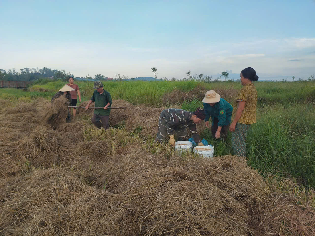 Thoát nghèo từ mô hình nuôi gà an toàn sinh học - Ảnh 3.