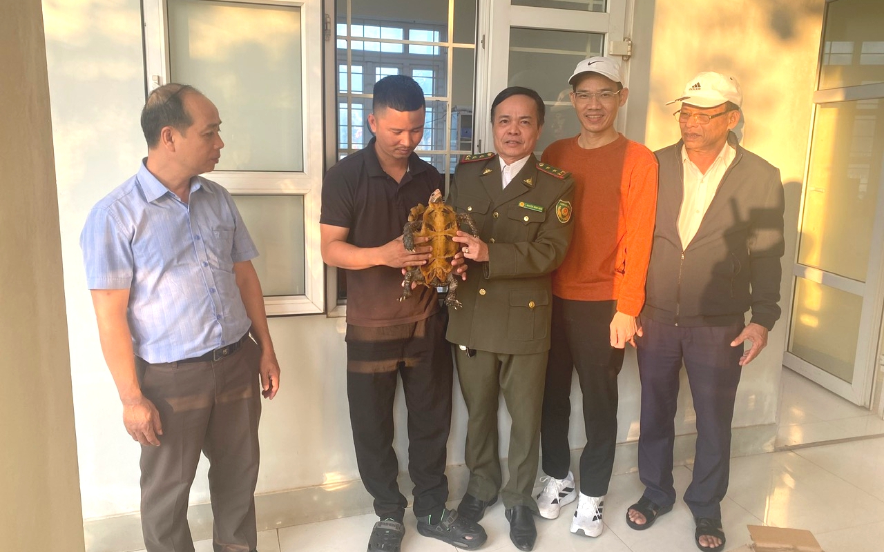 Thấy con vật bò trong vườn, người dân liền gọi đường dây nóng trình báo