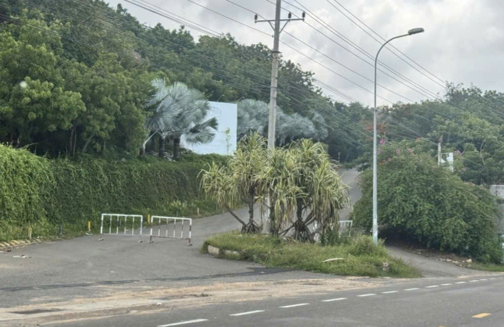 - Ảnh 1.