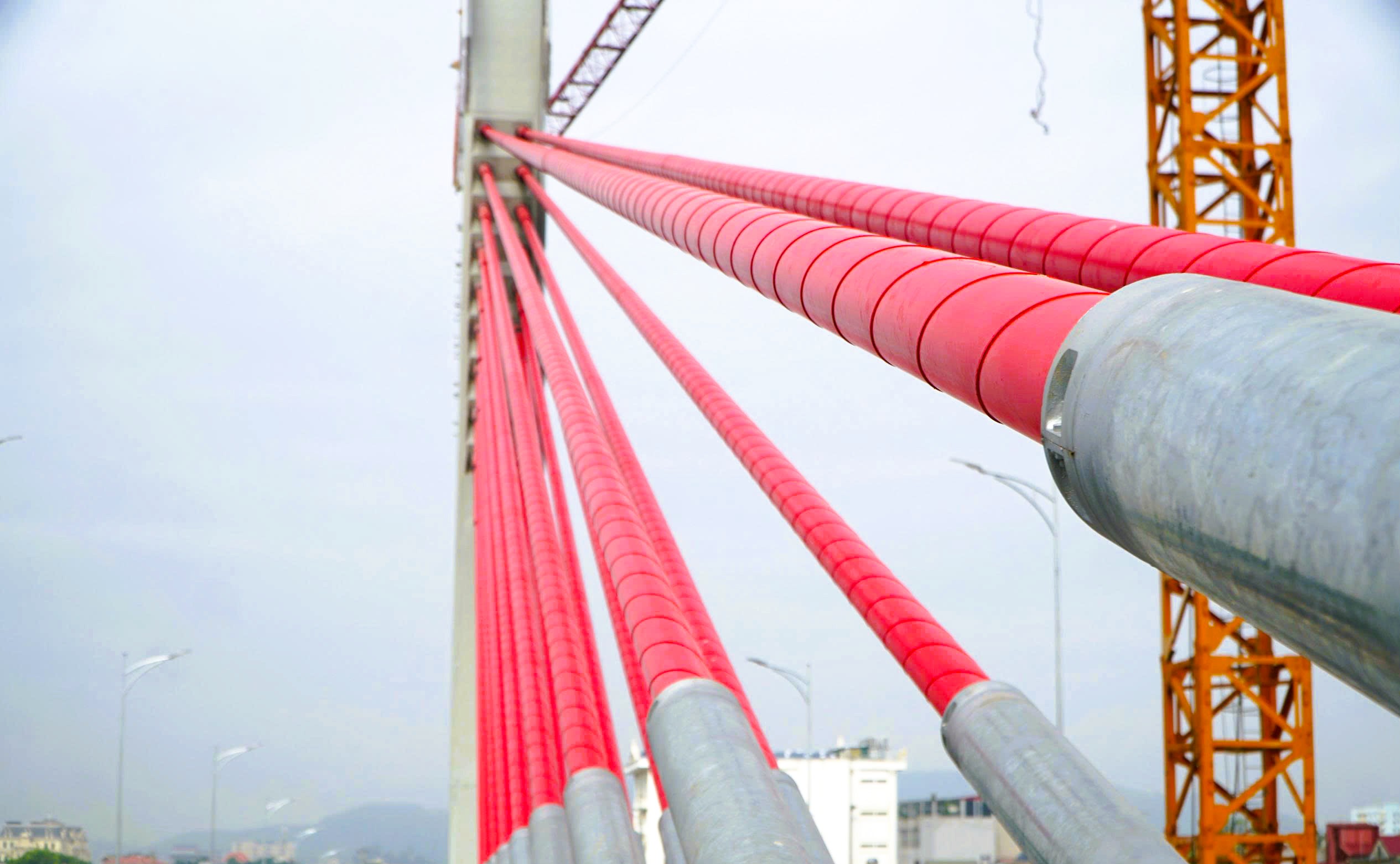 Cầu d&acirc;y văng đầu ti&ecirc;n vượt đường sắt Bắc - Nam ở Thanh H&oacute;a - Ảnh 7.