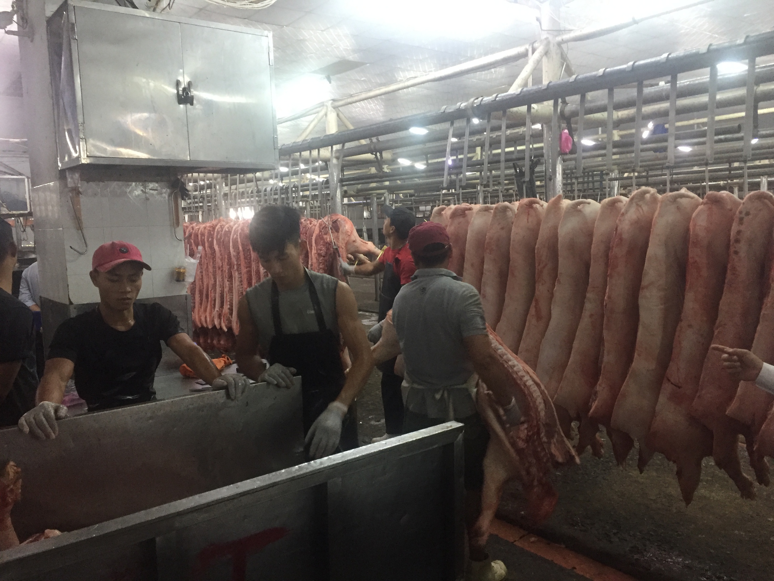 Gi&aacute; heo hơi h&ocirc;m nay 21 - 12 tăng mạnh tại chợ đầu mối H&oacute;c M&ocirc;n - Ảnh 1.
