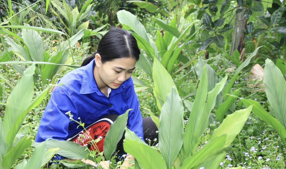 Mạng xã hội trong lan tỏa mô hình thoát nghèo ở Thanh Hóa - Ảnh 1.