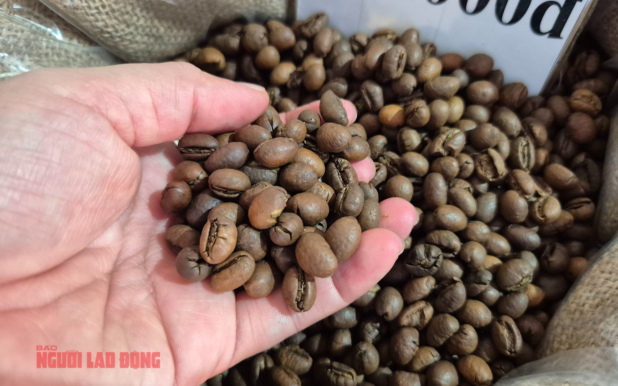 Giá cà phê hôm nay 21-12: Về lại mốc 90.000 đồng/kg