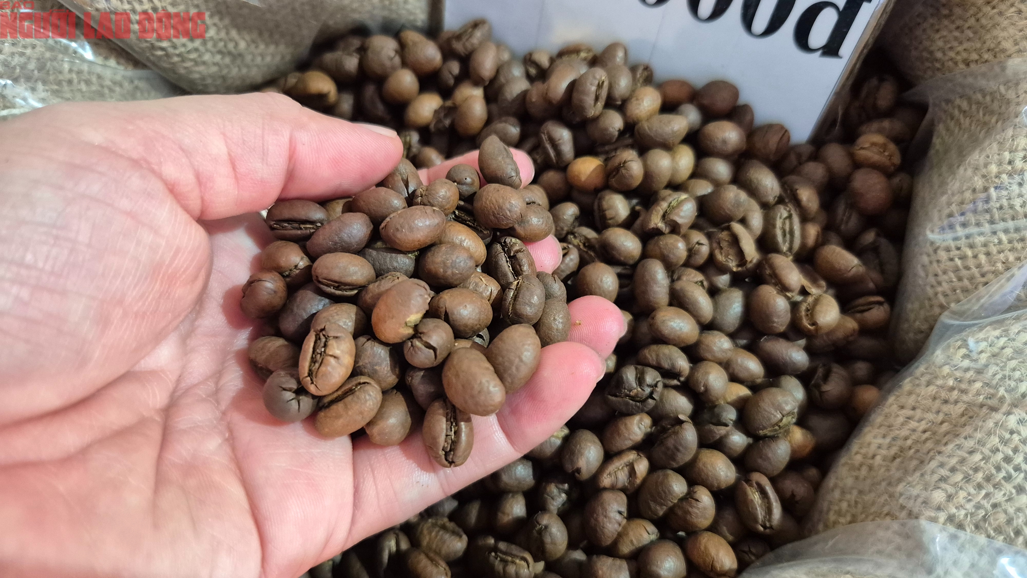 Giá cà phê hôm nay 21-12: Về lại mốc 90.000 đồng/kg - Ảnh 1.