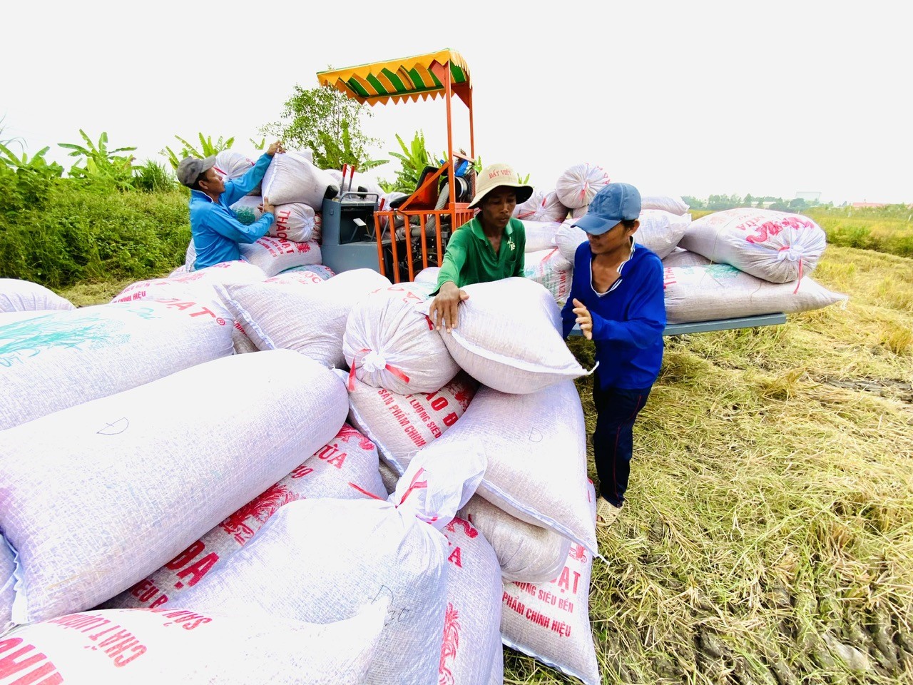 B&aacute;o in Người Lao Động 22-12: Thưởng Tết khả quan, an t&acirc;m l&agrave;m việc - Ảnh 2.