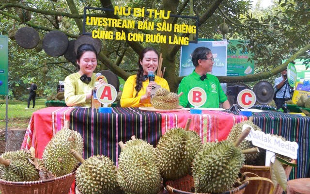 Mô hình giảm nghèo bền vững tại Đắk Lắk: Giải pháp cho từng hộ gia đình - Ảnh 4.