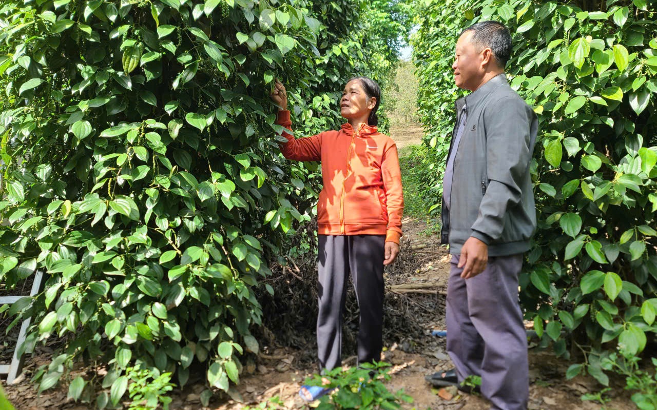 Xây dựng "kịch bản" thoát nghèo cho từng hộ dân