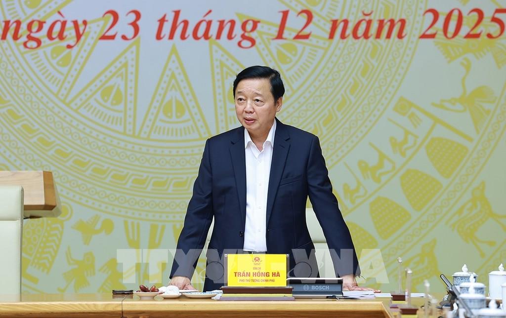 Ph&oacute; Thủ tướng Chỉ đạo xử l&yacute; nghi&ecirc;m t&igrave;nh trạng khai th&aacute;c tr&aacute;i ph&eacute;p t&agrave;u c&aacute; ra nước ng&ograve;ai - Ảnh 1.
