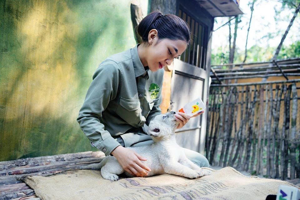 10 năm Vinpearl Safari Ph&uacute; Quốc: Dấu ấn ti&ecirc;n phong của safari b&aacute;n hoang d&atilde; đầu ti&ecirc;n tại Việt Nam - Ảnh 3.