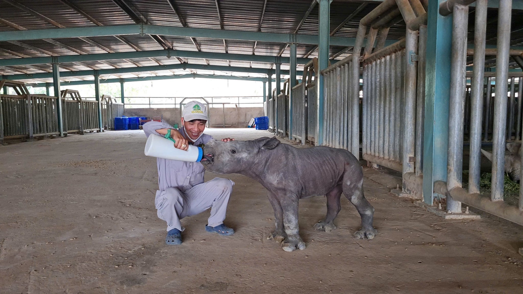 10 năm Vinpearl Safari Ph&uacute; Quốc: Dấu ấn ti&ecirc;n phong của safari b&aacute;n hoang d&atilde; đầu ti&ecirc;n tại Việt Nam - Ảnh 4.