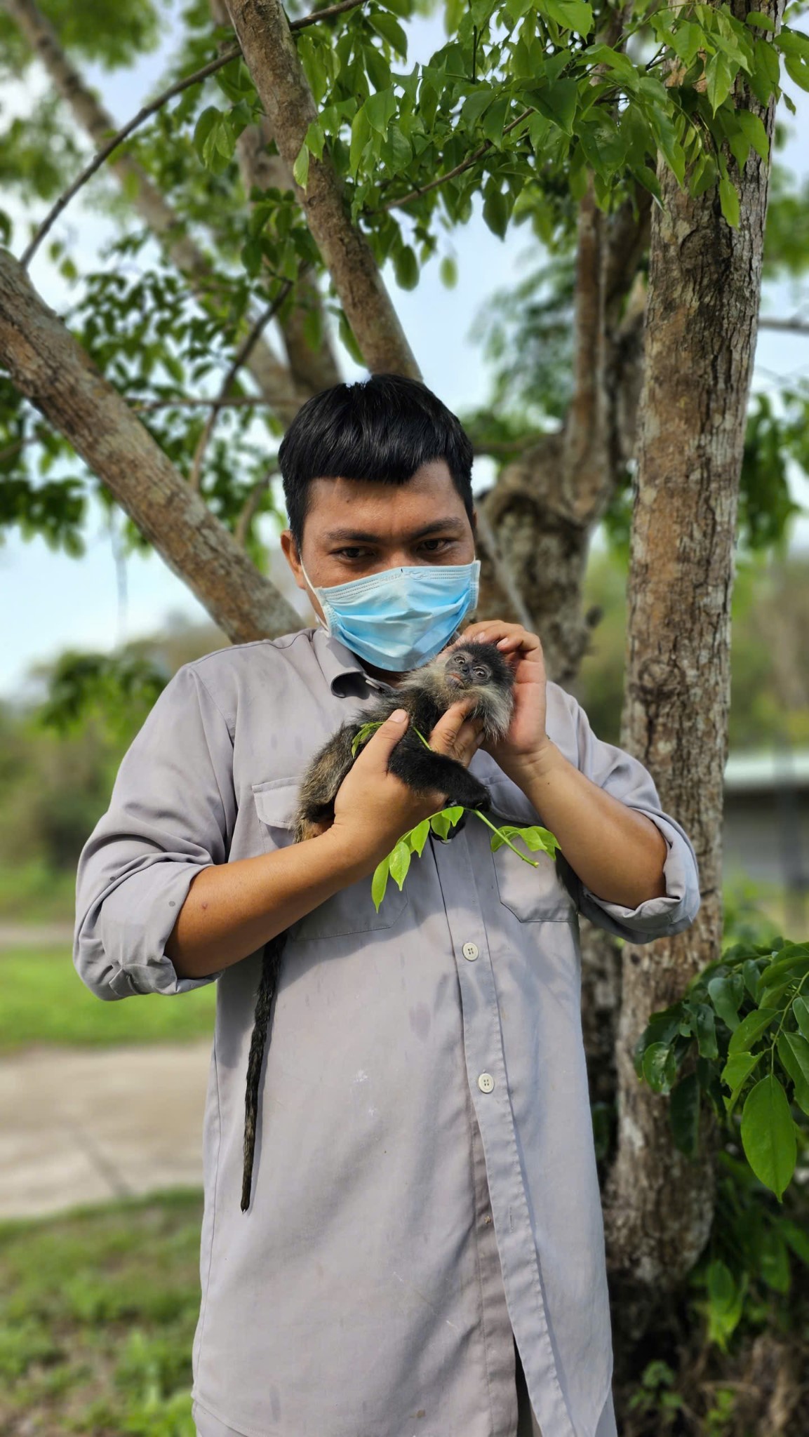 10 năm Vinpearl Safari Ph&uacute; Quốc: Dấu ấn ti&ecirc;n phong của safari b&aacute;n hoang d&atilde; đầu ti&ecirc;n tại Việt Nam - Ảnh 7.
