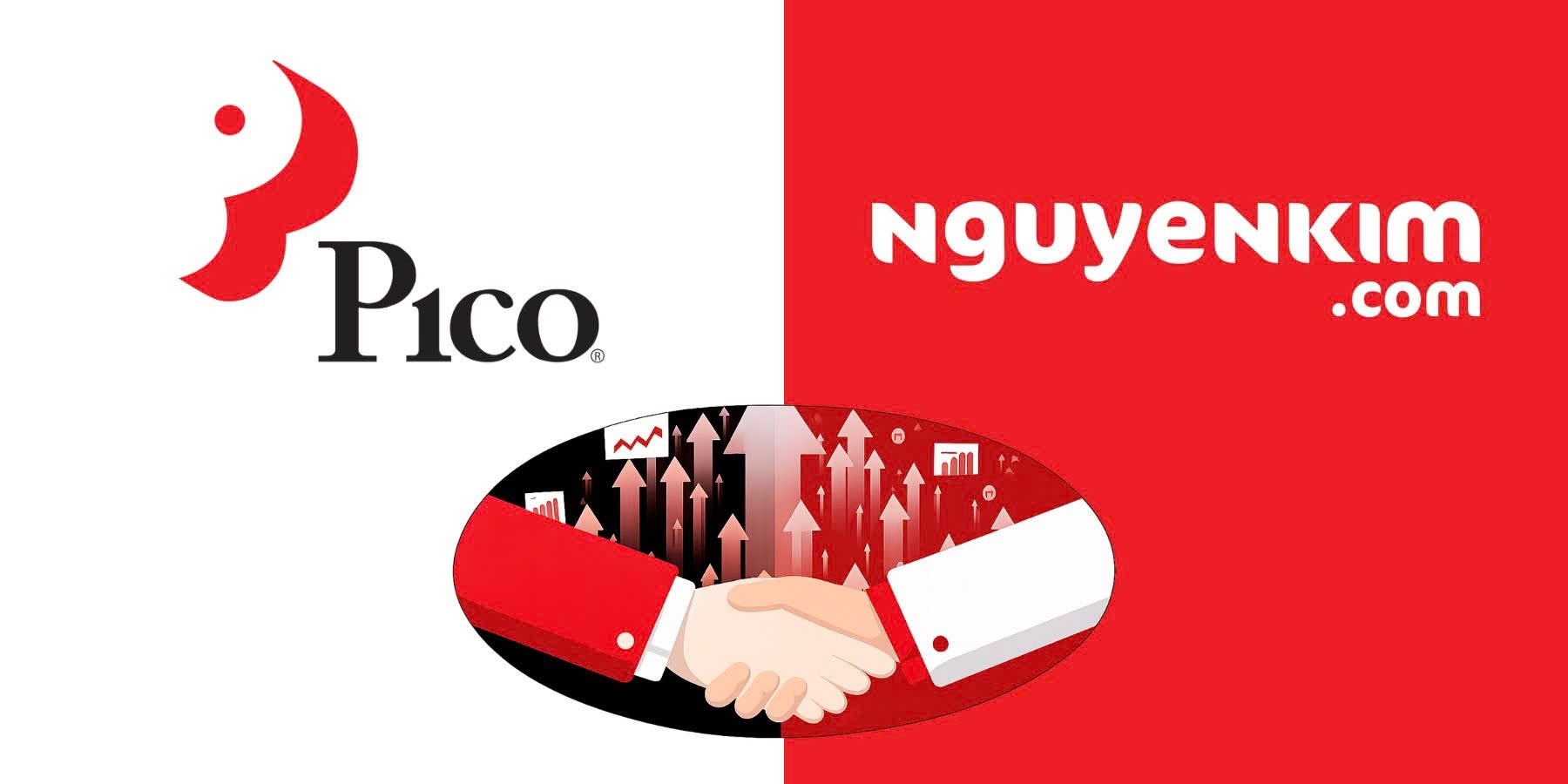 Pico Holdings k&yacute; thỏa thuận mua lại chuỗi điện m&aacute;y Nguyễn Kim - Ảnh 1.