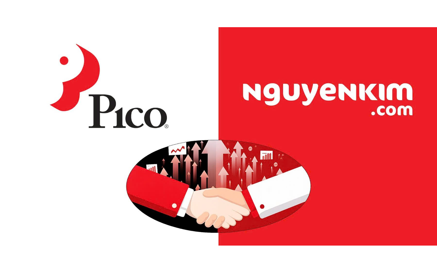 Pico Holdings ký thỏa thuận mua lại chuỗi điện máy Nguyễn Kim