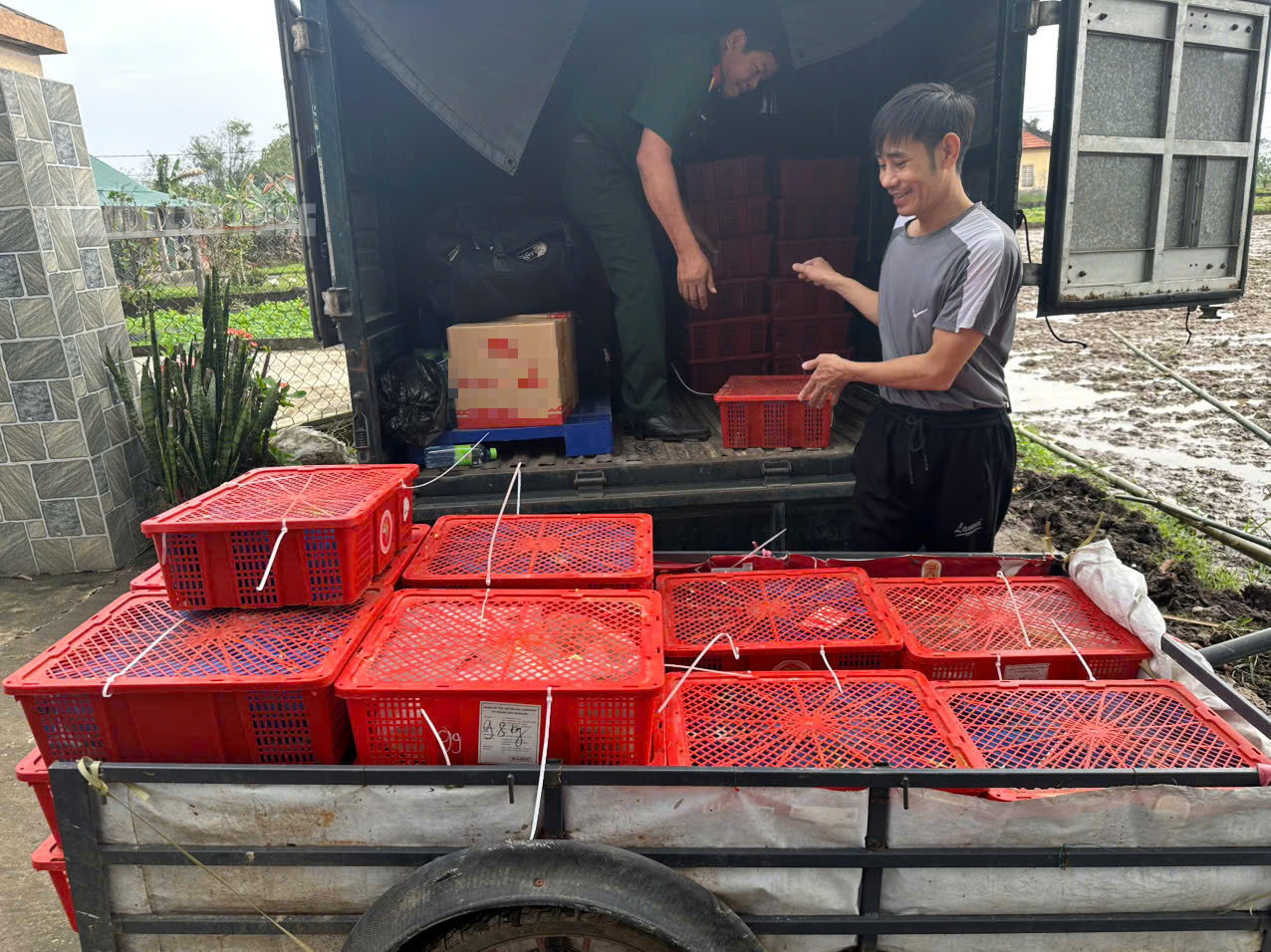 B&agrave;n giao 676 con rắn hổ mang nặng 920kg ở Quảng Trị cho Trại rắn Đồng T&acirc;m - Ảnh 1.