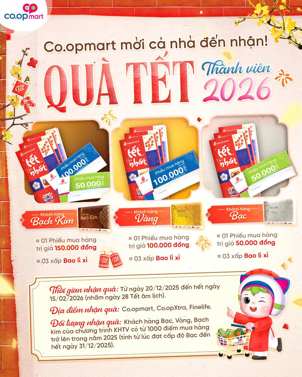 Saigon Co.op đồng hành cùng nông sản sạch mùa Tết - Ảnh 10.