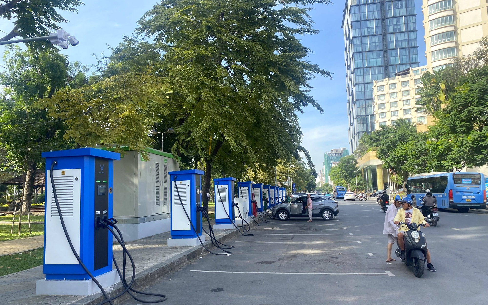 TPHCM trồng thêm 15.000 cây phân tán