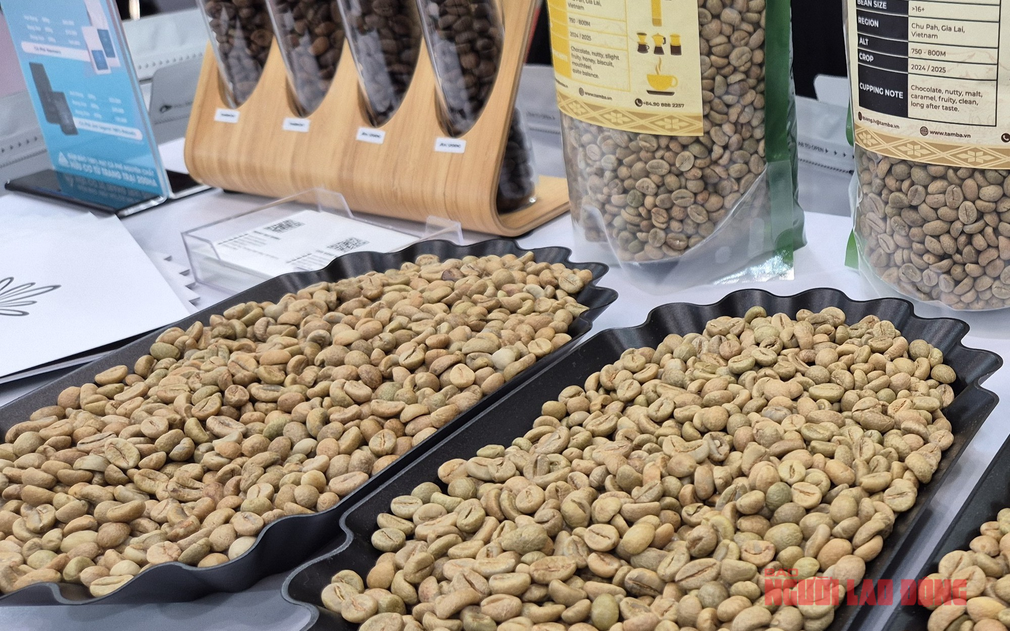 Giá cà phê hôm nay 26-12: Trong nước tăng nóng, Trung Quốc bất ngờ nhập nhiều