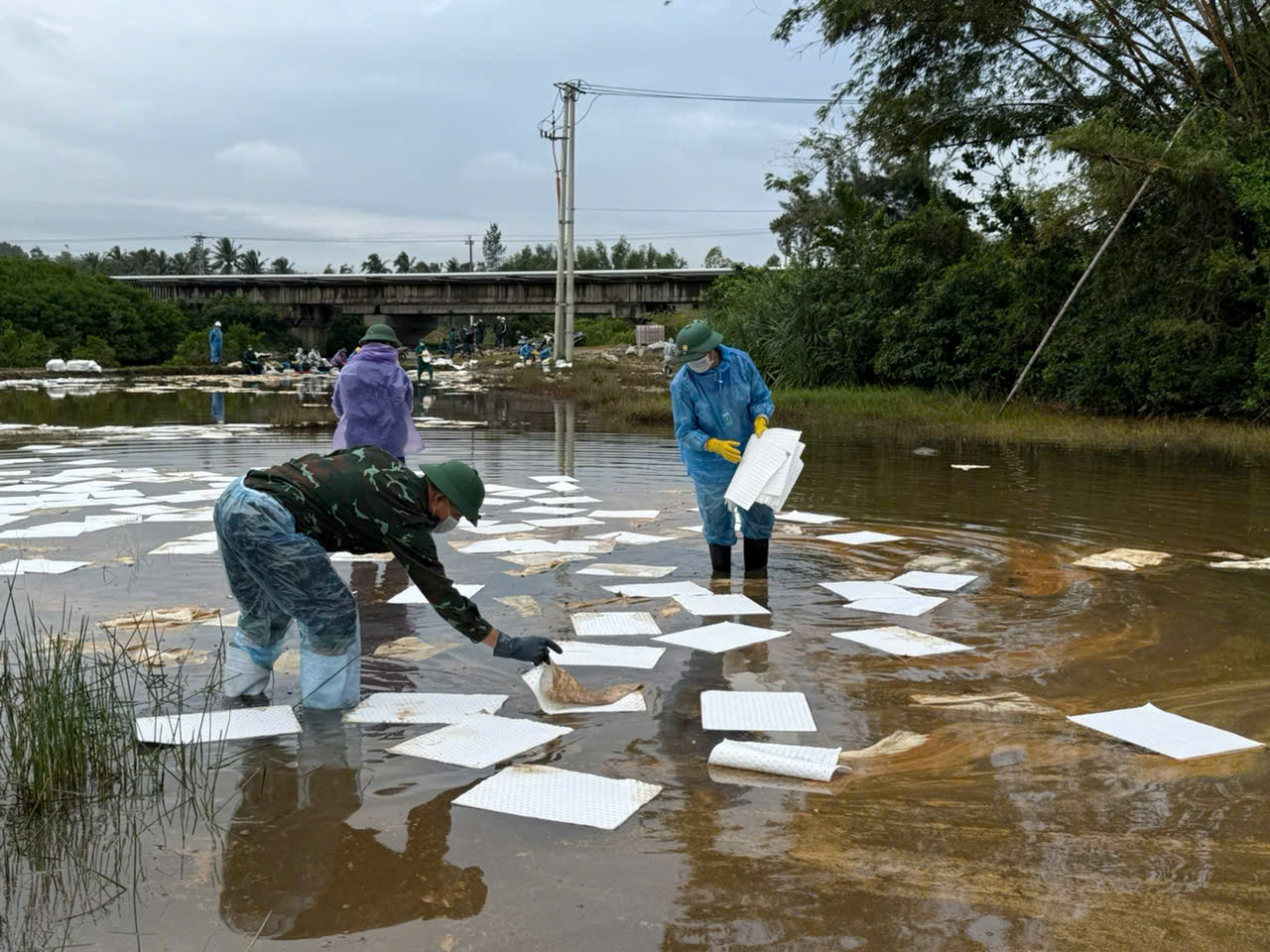 Cục Xăng dầu thông tin sự cố tràn dầu ở Quảng Ngãi - Ảnh 2.
