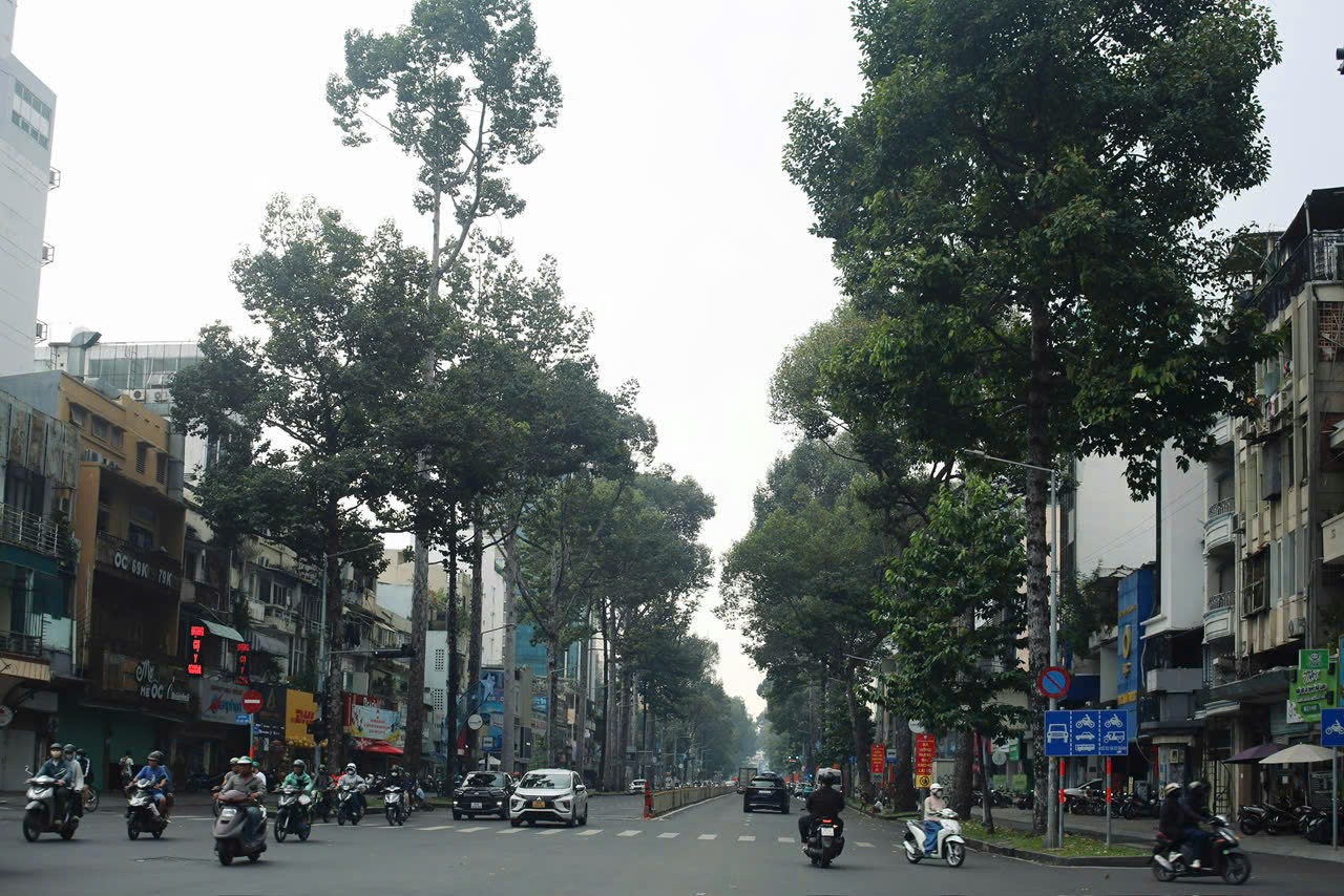 TP HCM tăng tốc xanh hóa đô thị - Ảnh 1.