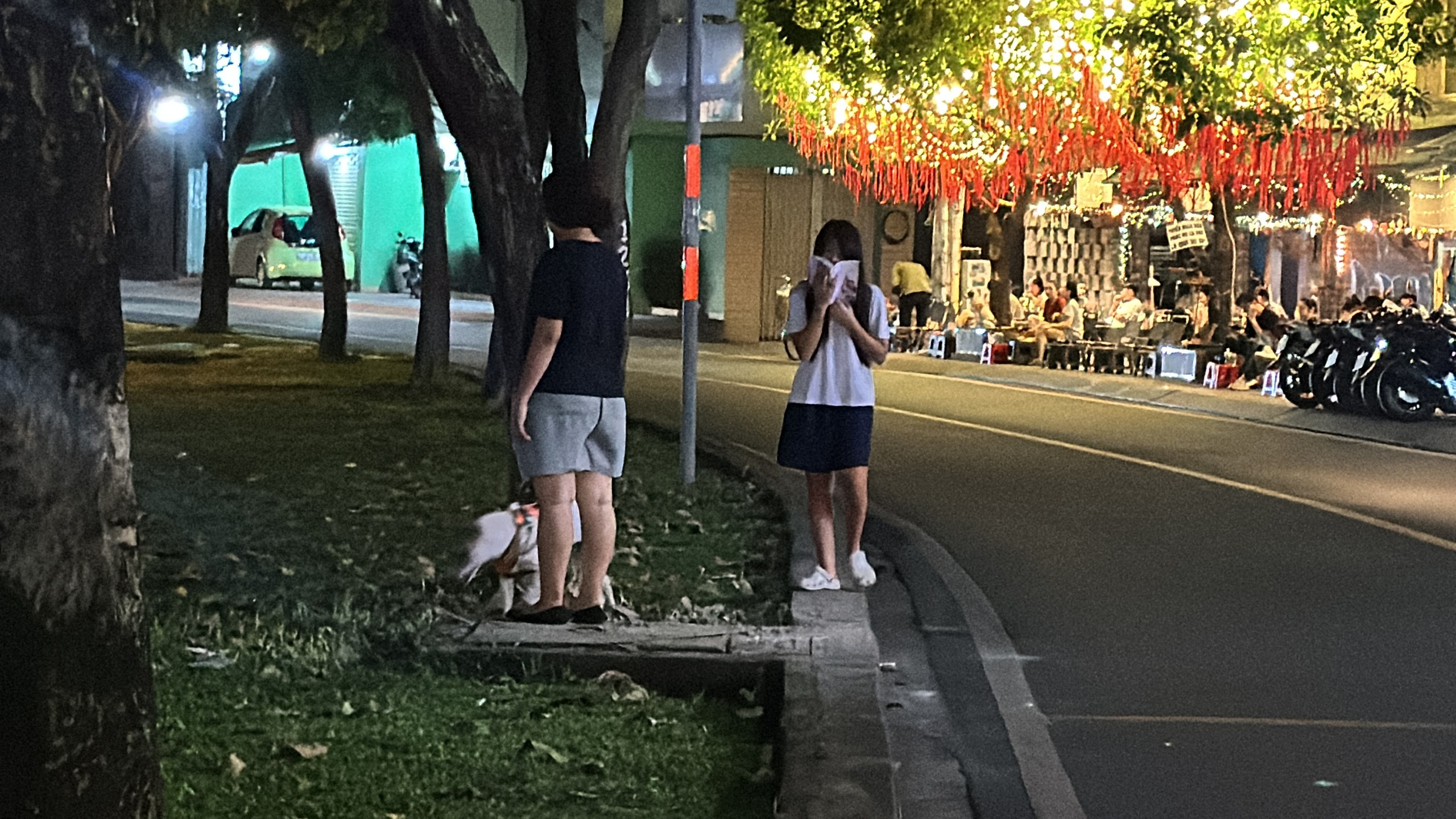 Hình ảnh chó thả rông "nghênh ngang" tại TPHCM - Ảnh 4.