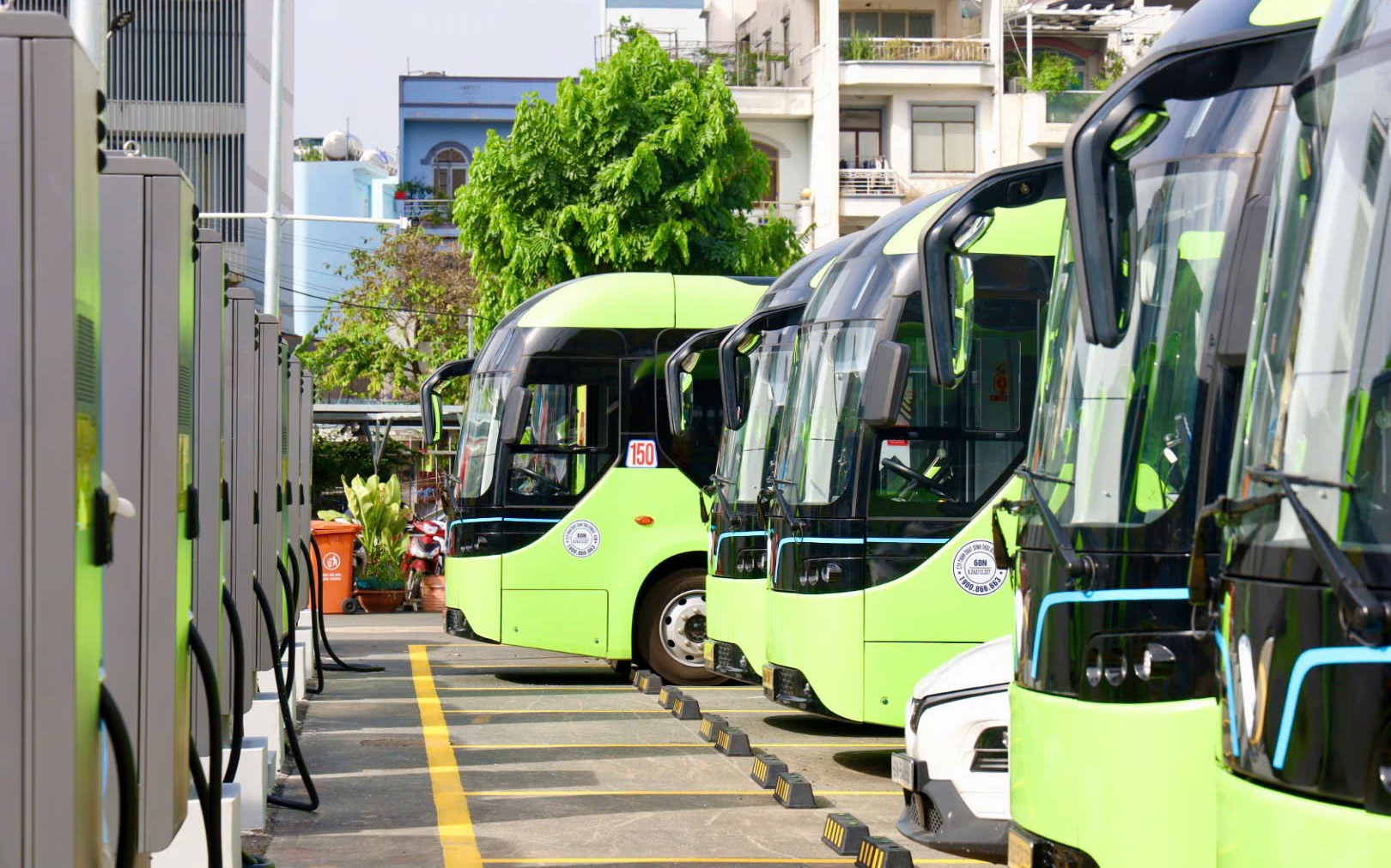 101 tuyến xe buýt tại TPHCM được đấu thầu, chuẩn bị vận hành 2026