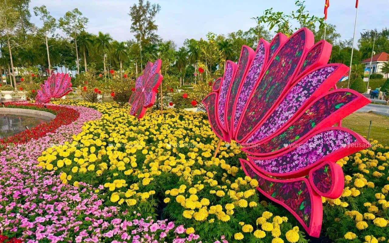 Kỷ lục Bản đồ Việt Nam từ 1 . 000 Giống hoa kiểng tại Festival Sa Đéc lần 2 - Ảnh 4.