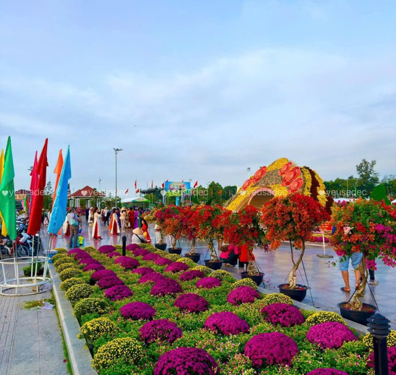 Kỷ lục Bản đồ Việt Nam từ 1 . 000 Giống hoa kiểng tại Festival Sa Đéc lần 2 - Ảnh 6.