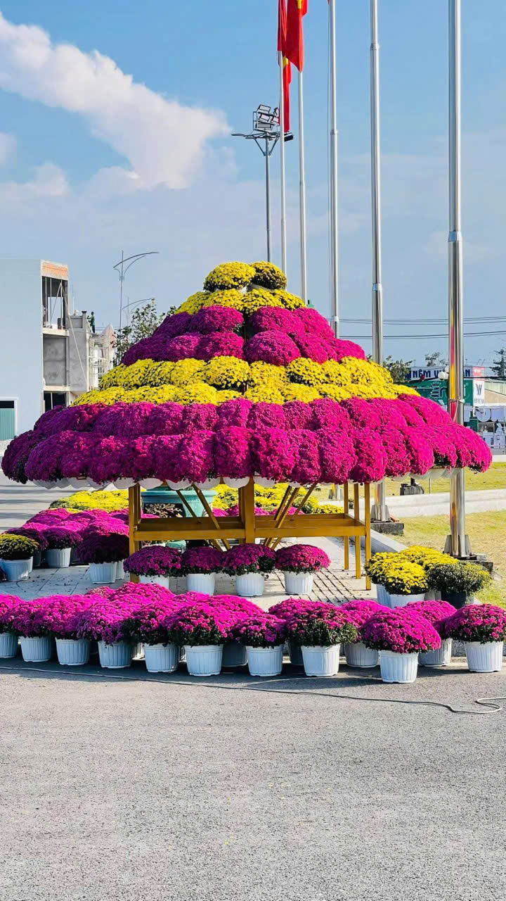 Kỷ lục Bản đồ Việt Nam từ 1 . 000 Giống hoa kiểng tại Festival Sa Đéc lần 2 - Ảnh 8.