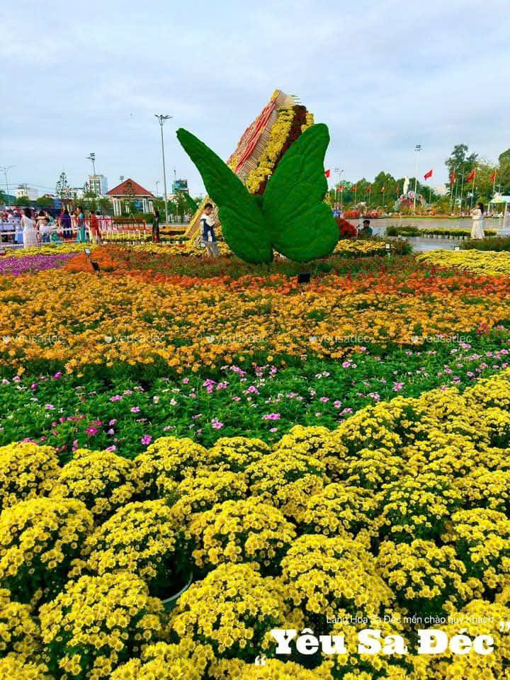 Kỷ lục Bản đồ Việt Nam từ 1 . 000 Giống hoa kiểng tại Festival Sa Đéc lần 2 - Ảnh 9.