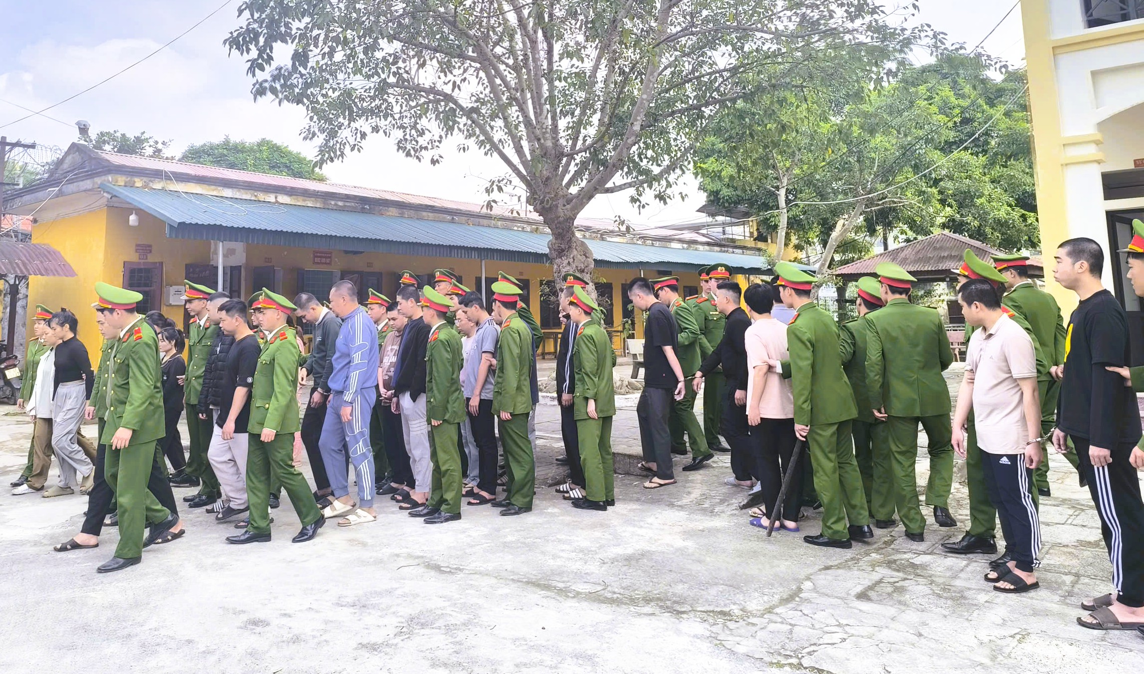 Cả ng&agrave;n người sập bẫy trong đường d&acirc;y lừa đảo, bắt nhiều chủ tịch, gi&aacute;m đốc c&ocirc;ng ty "ma" - Ảnh 1.