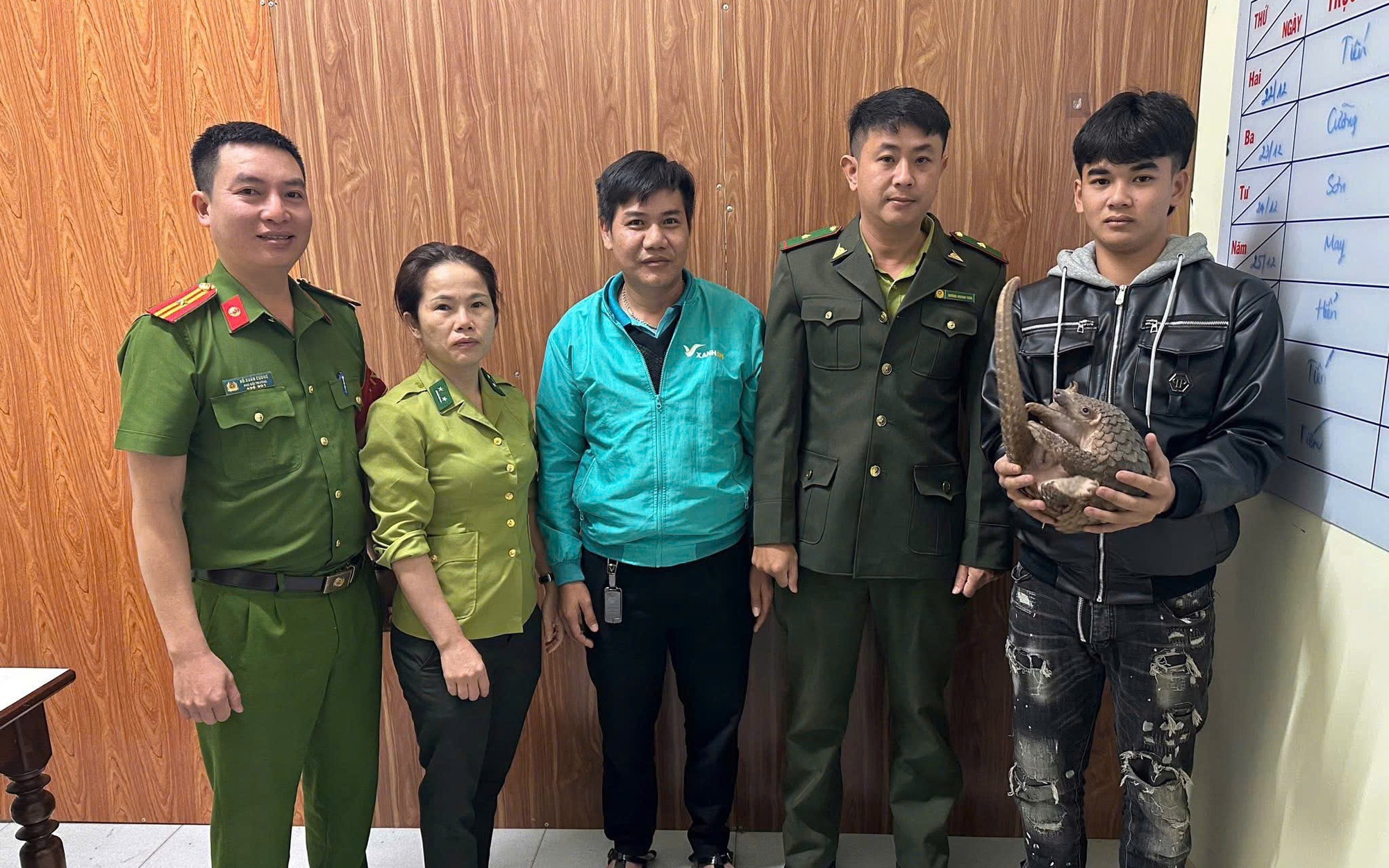 Phát hiện tê tê quý hiếm, người dân giao nộp nhà nước