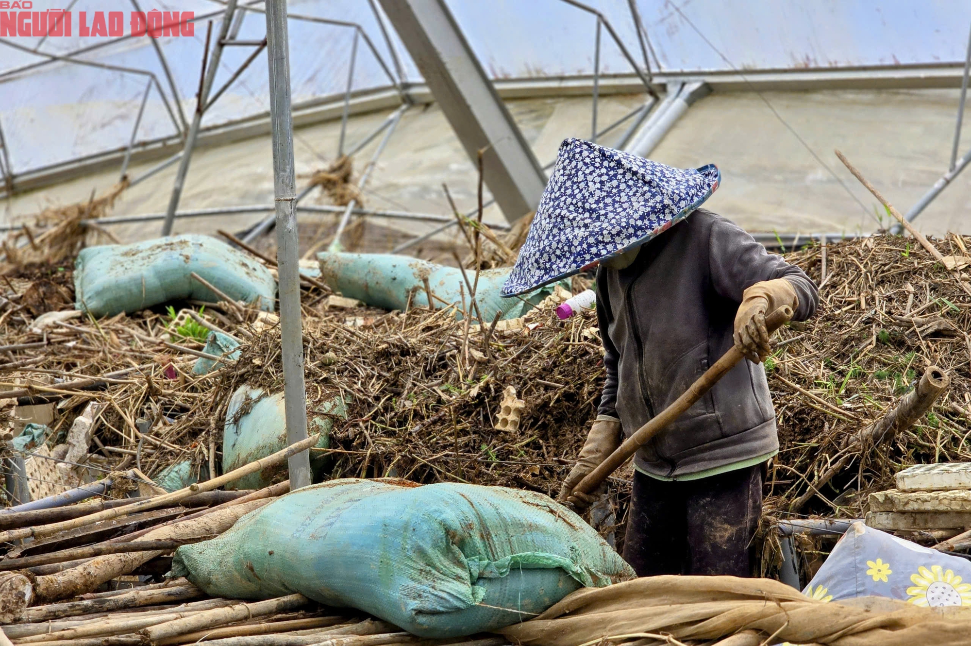 Vựa rau Lâm Đồng thiệt hại nặng nề sau cơn lũ lịch sử - Ảnh 9.