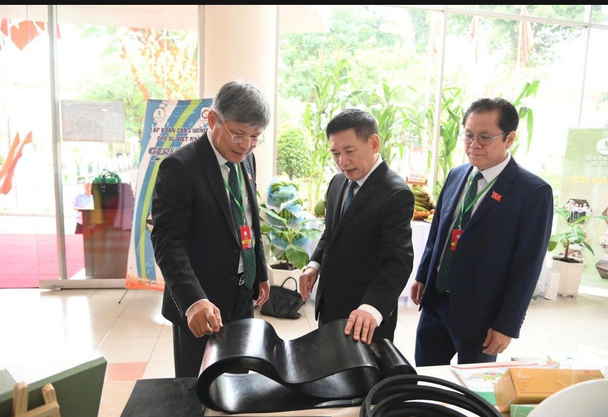 Tập đoàn Công nghiệp cao su Việt Nam (VRG) lãi gần 7.000 tỉ đồng - Ảnh 3.