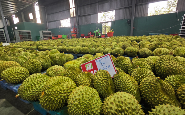 Xuất khẩu nông, lâm, thủy sản sớm về đích