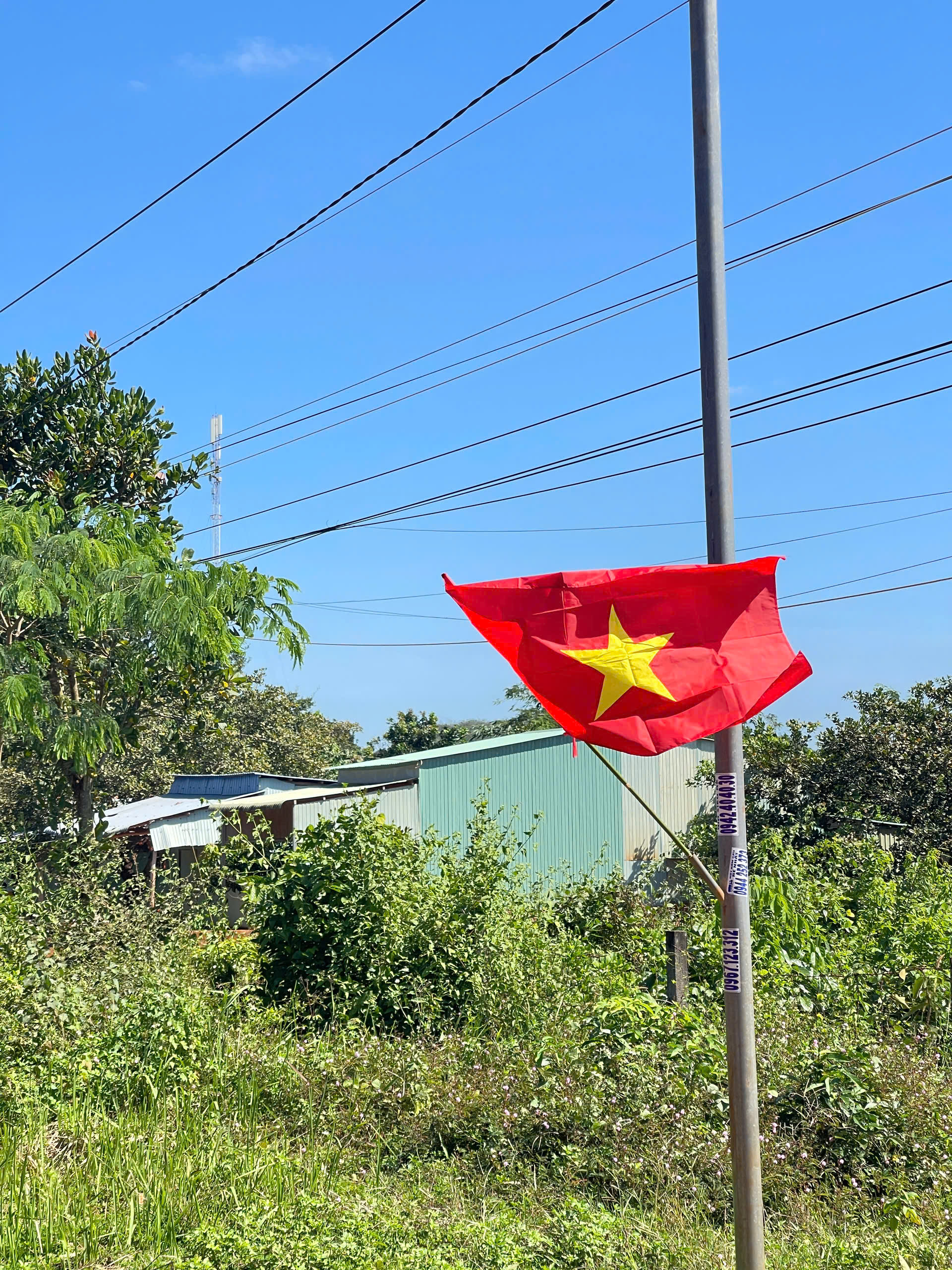 Đồng Nai c&oacute; th&ecirc;m tuyến &ldquo;Đường cờ Tổ quốc&rdquo; - Ảnh 4.