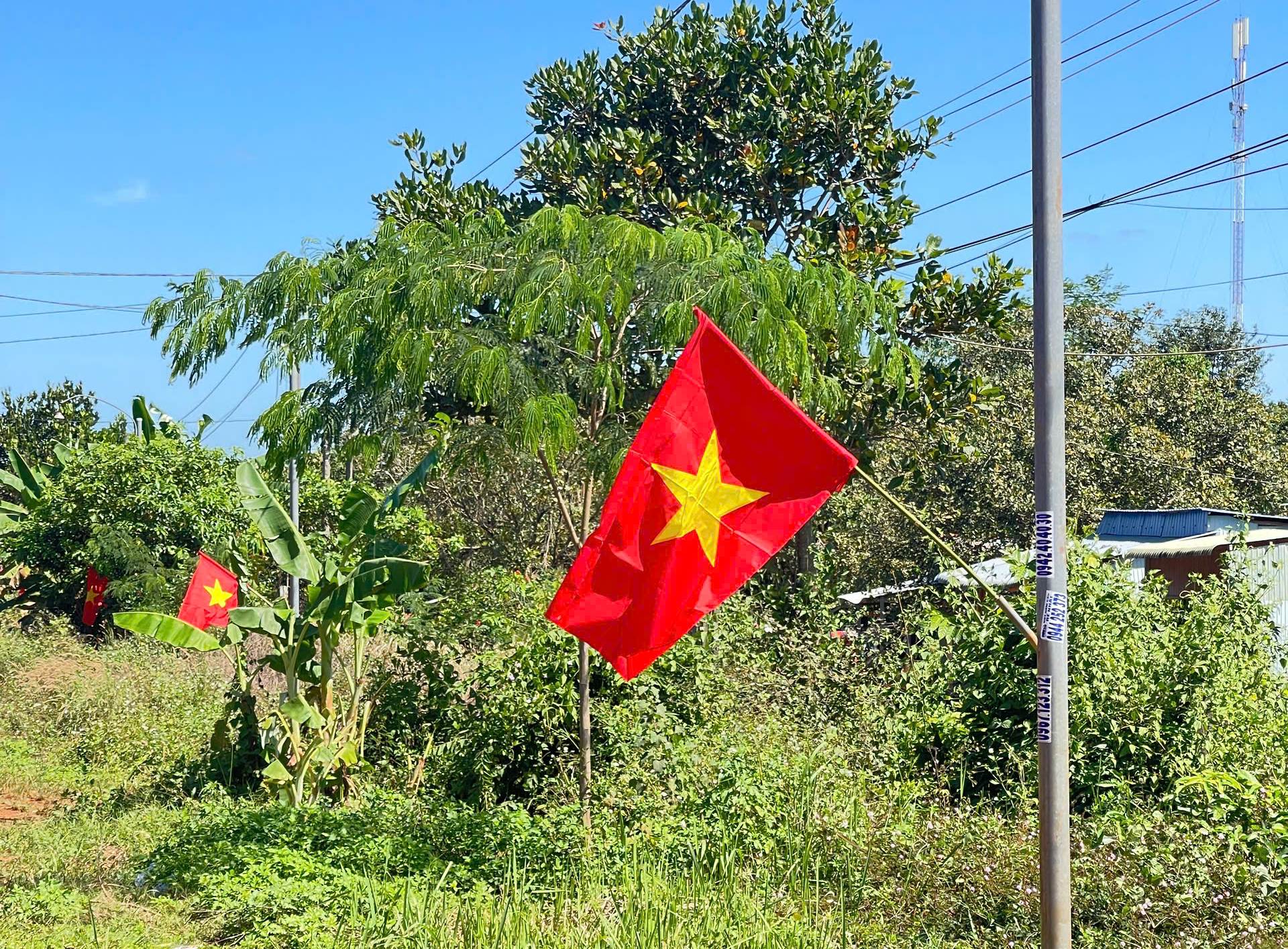 Đồng Nai c&oacute; th&ecirc;m tuyến &ldquo;Đường cờ Tổ quốc&rdquo; - Ảnh 3.