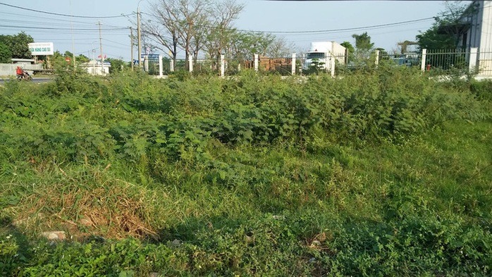 Đề xuất quy định chi tiết về chuyển đất vườn sang đất ở, người dân được giảm tiền sử dụng đất - Ảnh 1.