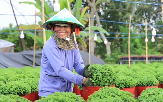 Tôn vinh nghề trồng hoa - kiểng