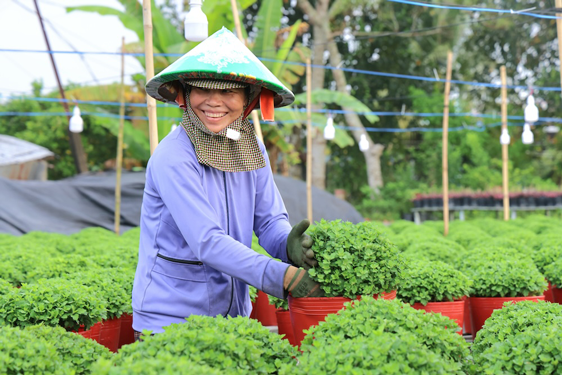 T&ocirc;n vinh nghề trồng hoa - kiểng - Ảnh 1.