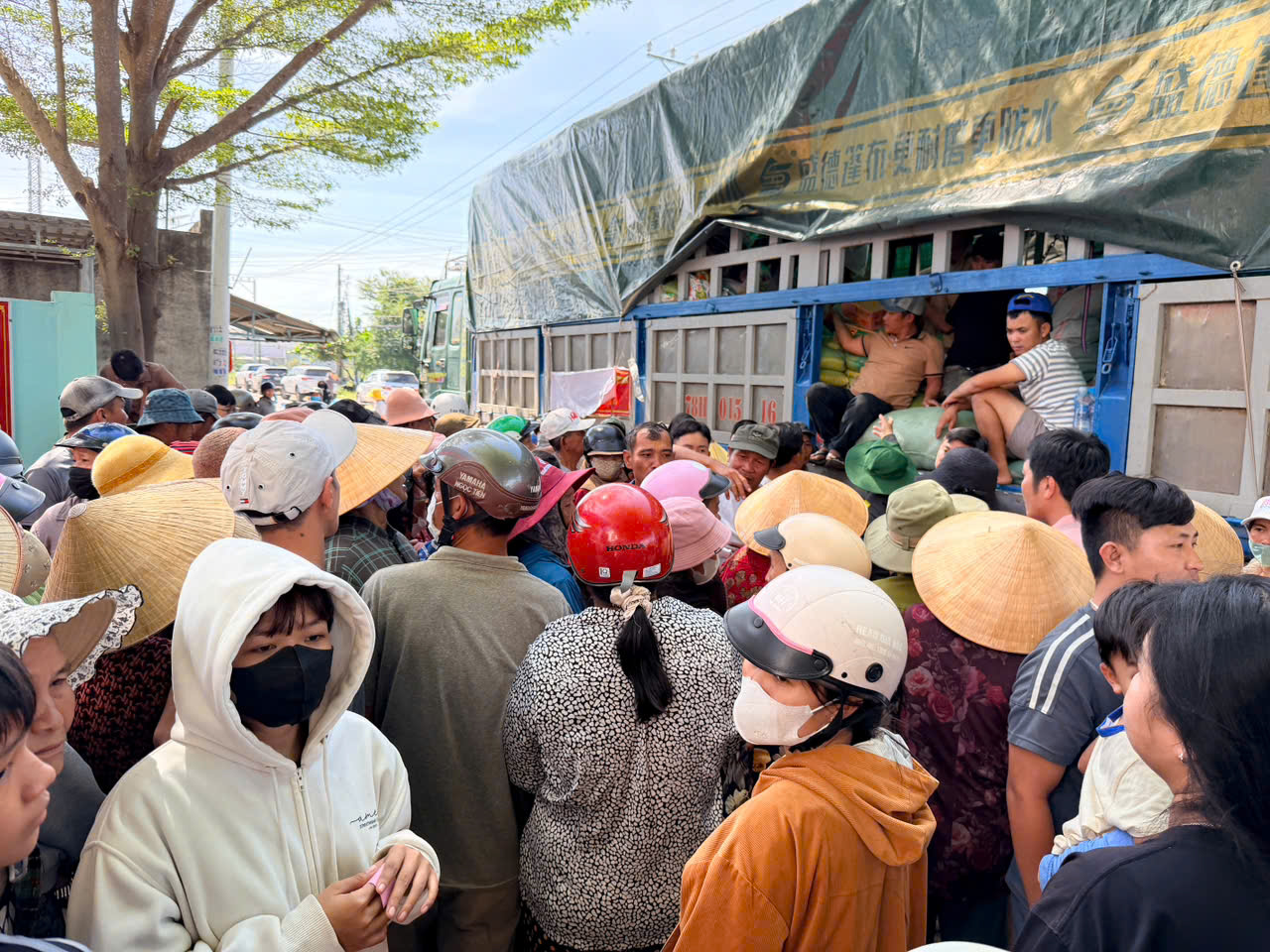 Nghĩa t&igrave;nh Ph&uacute; Y&ecirc;n hướng về v&ugrave;ng lũ B&igrave;nh Thuận - Ảnh 4.