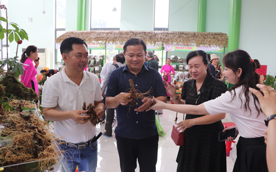 C&agrave; ph&ecirc; s&acirc;m Ngọc Linh trở th&agrave;nh m&oacute;n Quốc d&acirc;n tại Lễ hội 2026 - Ảnh 1.