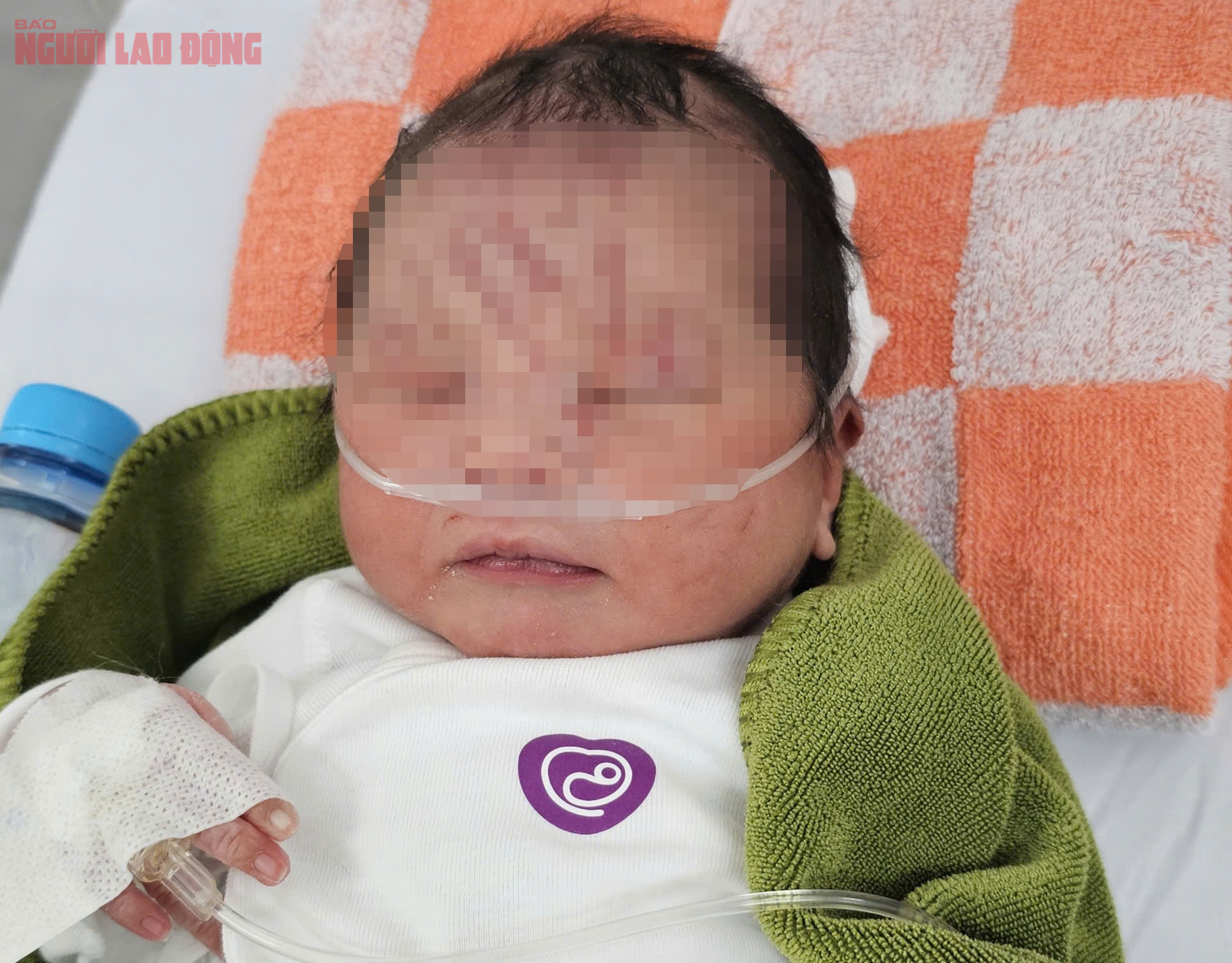 B&eacute; sơ sinh bị ch&ocirc;n sống trong vườn cao su được ph&aacute;t hiện kịp thời cứu sống - Ảnh 1.