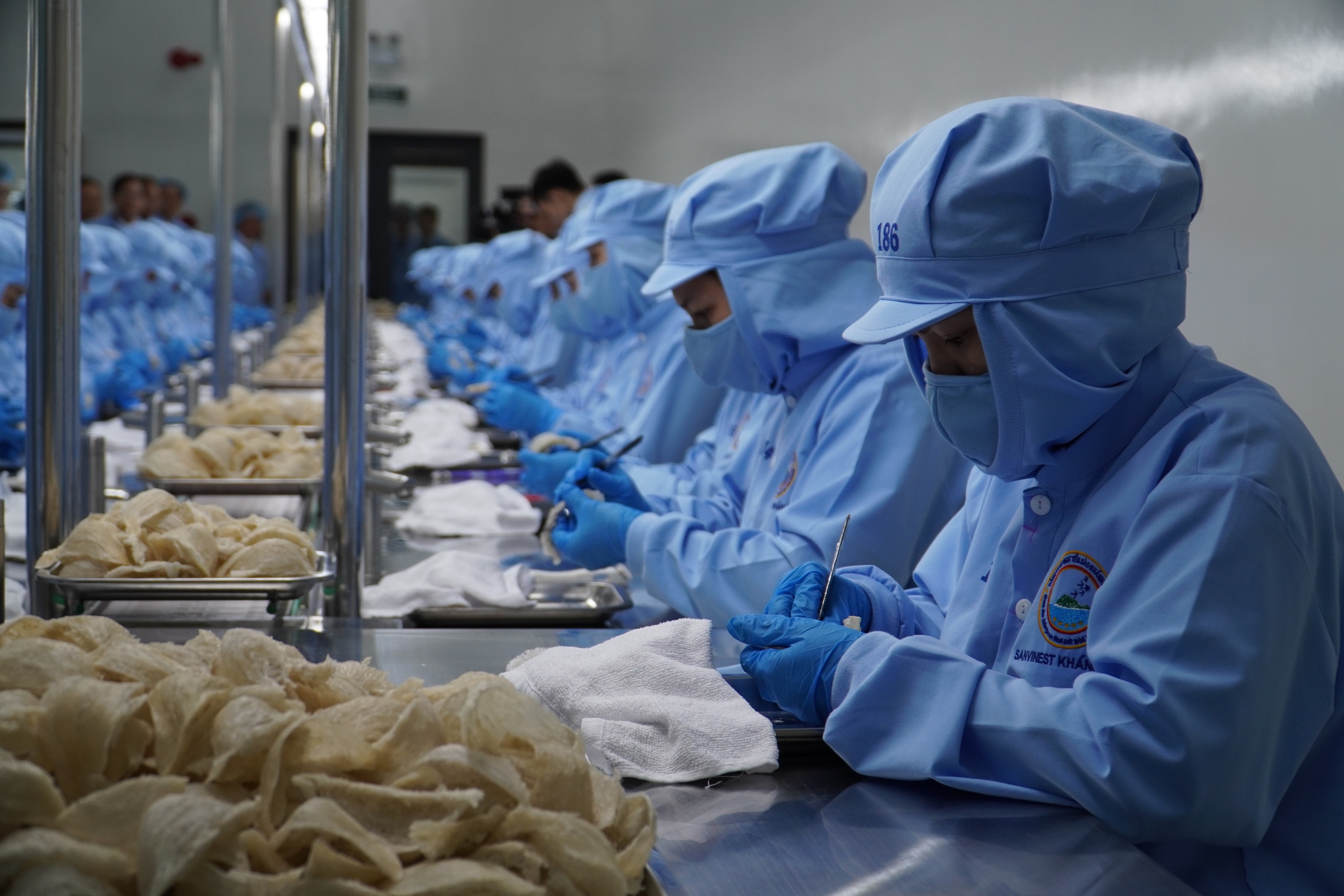 Đại hội C&ocirc;ng đo&agrave;n C&ocirc;ng ty Yến s&agrave;o Kh&aacute;nh H&ograve;a kh&oacute;a XIII: Đo&agrave;n kết &ndash; đổi mới v&igrave; người lao động - Ảnh 2.