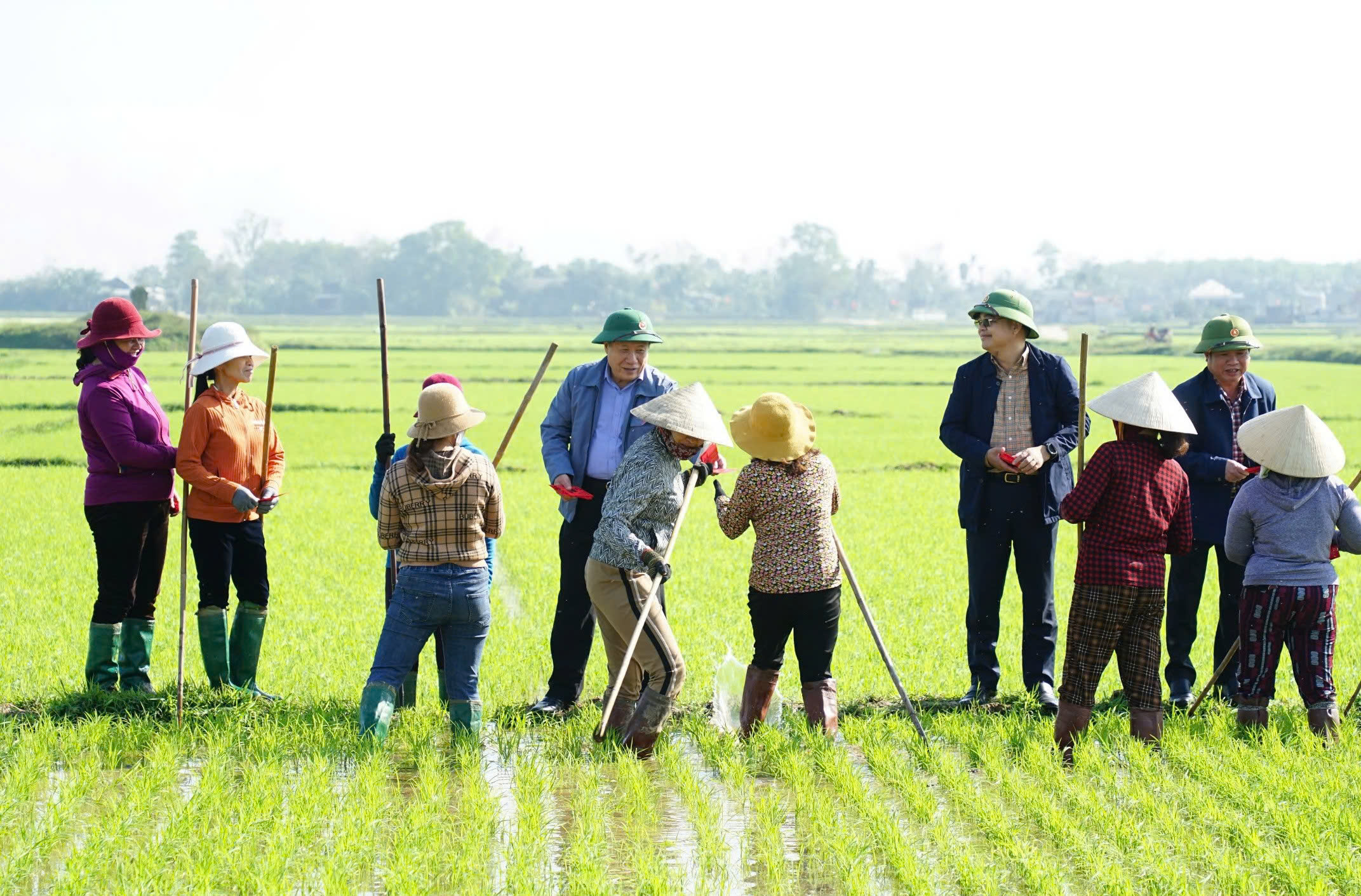 L&atilde;nh đạo tỉnh Quảng Trị ra đồng l&igrave; x&igrave; cho n&ocirc;ng d&acirc;n- Ảnh 1.