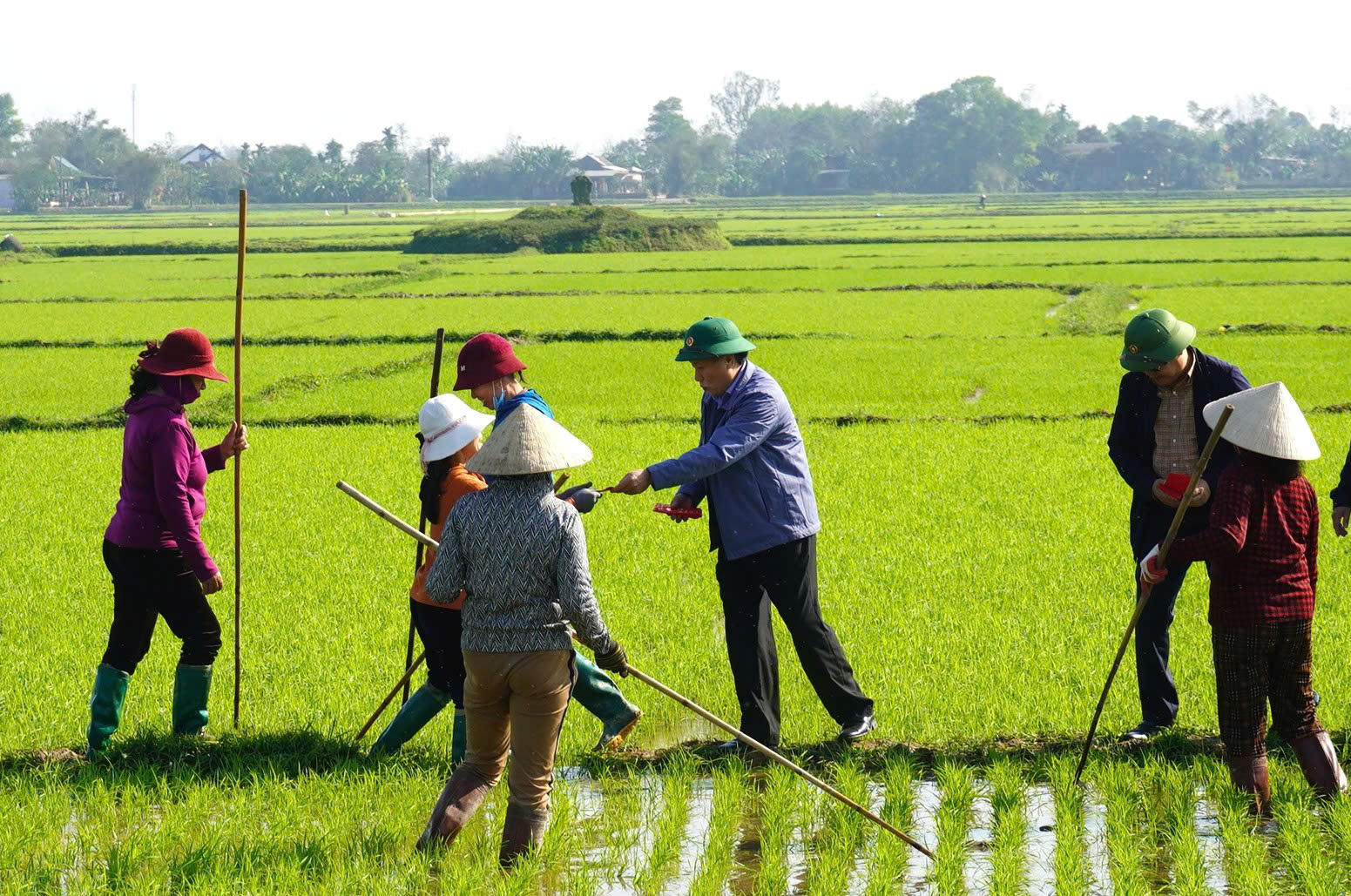 L&atilde;nh đạo tỉnh Quảng Trị ra đồng l&igrave; x&igrave; cho n&ocirc;ng d&acirc;n- Ảnh 2.